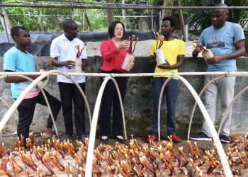African students urged to play bigger role in China-Africa friendship
