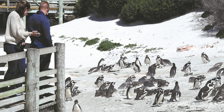 Destinations: South Africa looks to tourism recovery