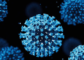 New coronavirus strain found: Covid-fighting antibodies do not protect from a new strain of coronavirus