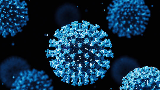 New coronavirus strain found: Covid-fighting antibodies do not protect from a new strain of coronavirus