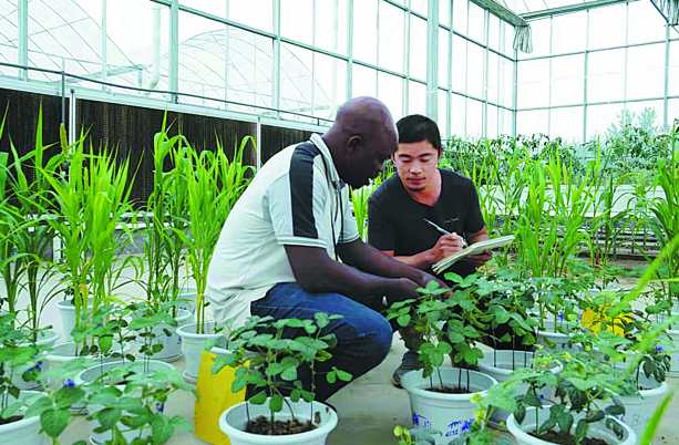 Burkina Faso: Student learns of higher crop yield at Chinese university