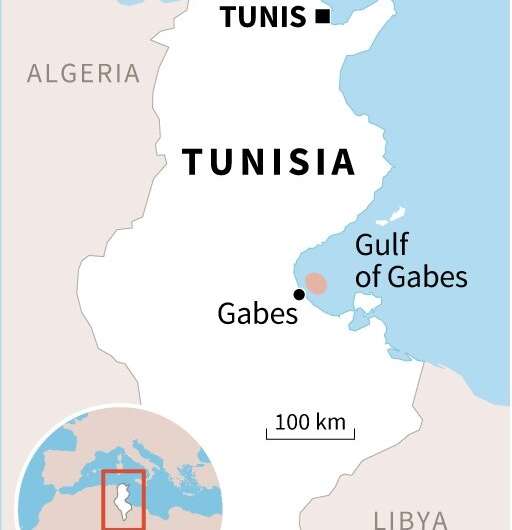 Ship Loaded with 750 tons of Diesel Sinks Off the Coast of Tunisia