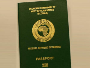 Nigeria: Nigerians Continue to Face Passports and Visas Scarcity