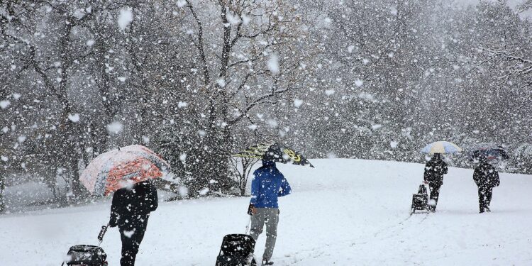 South Africa: Johannesburg Marvel’s at a Rare Snowfall