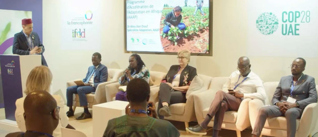 COP28 Highlights: Empowering Francophone African Youth in Climate Action"