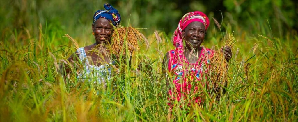 Guinea, Senegal, and Togo receive support for green agricultura