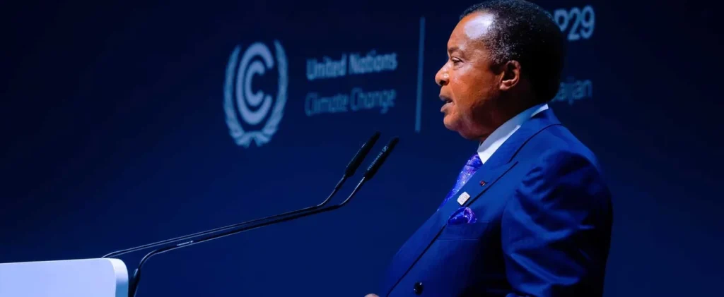 Africa: African leaders "demand" to monetize their green capital