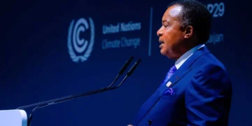 Africa: African leaders "demand" to monetize their green capital