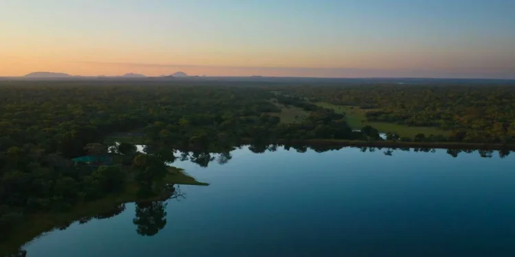 Madagascar: Biodiversity is already becoming a driver of progress
