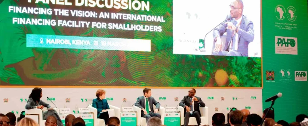 Financial experts suggest boosting loans for African farmers.