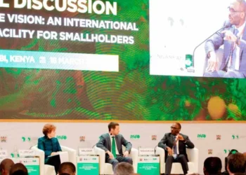 Financial experts suggest boosting loans for African farmers.