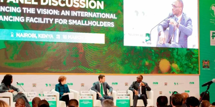 Financial experts suggest boosting loans for African farmers.