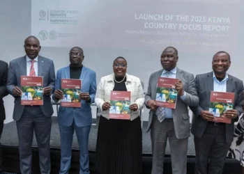 Kenya turns resources into results: the economy grows and strengthens